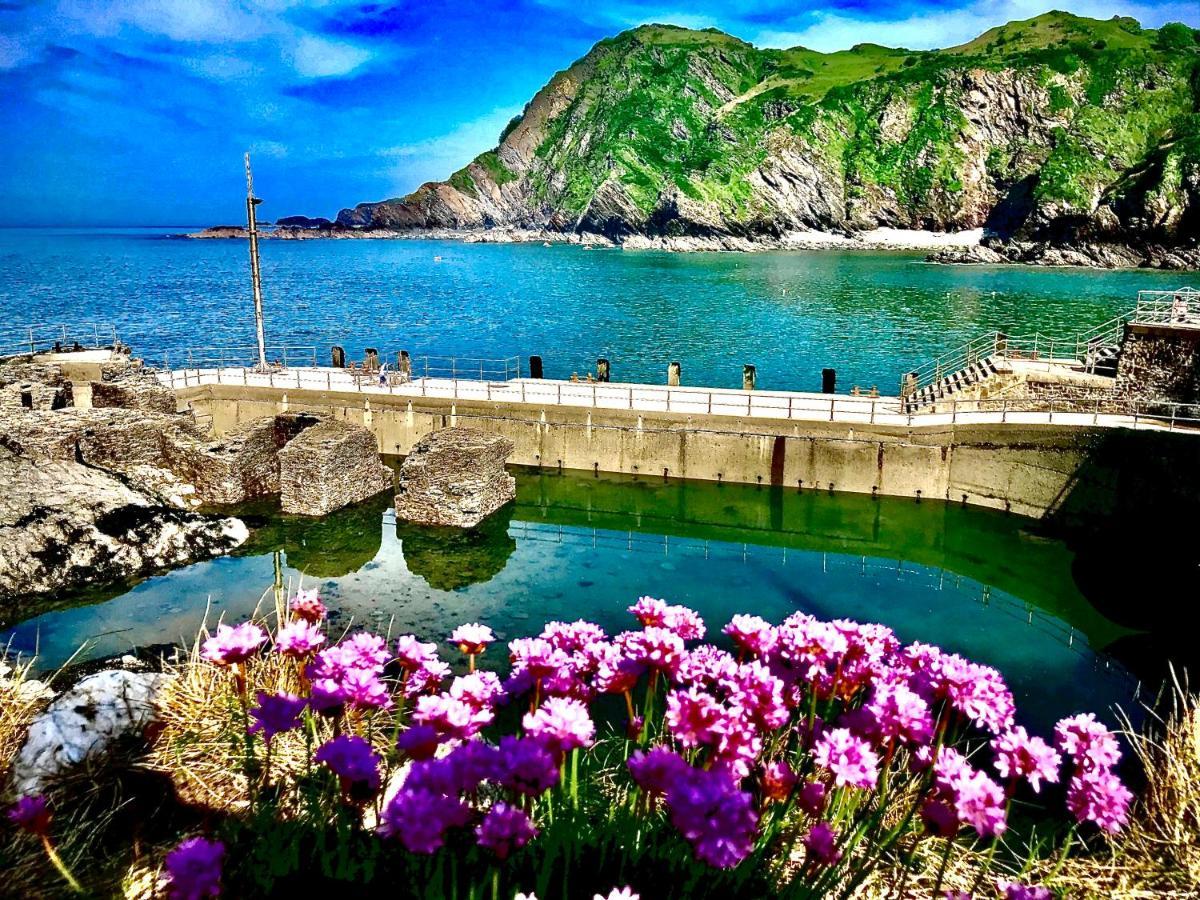Palm Court B&B Ilfracombe Zewnętrze zdjęcie